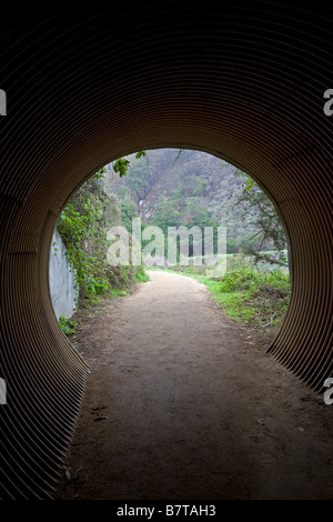 Tunnel pour piétons, Julia Pfeiffer Burns State Park ; côte de Big Sur, Californie, USA Banque D'Images