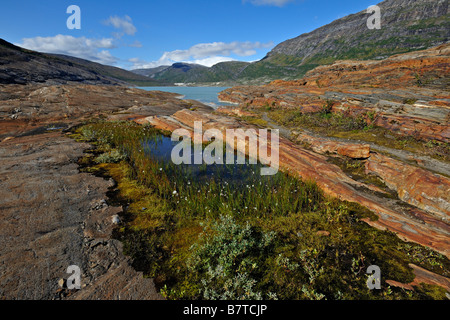 Des formations de roche sculpté de glace sous le glacier Svartisen Svartisdalen la Norvège Banque D'Images