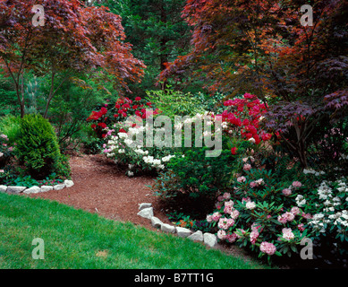 Une voie qui mène dans un jardin de l'épanouissement des rhododendrons et des érables du Japon sur Vashon Island, WA Banque D'Images