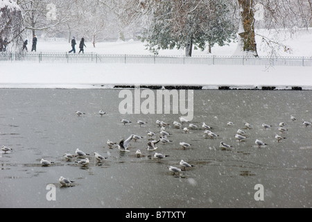 St James's Park couvert de neige London United Kingdom Banque D'Images