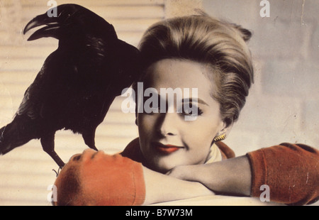 Les oiseaux Année : 1963 USA Tippi Hedren Directeur : Alfred Hitchcock Banque D'Images