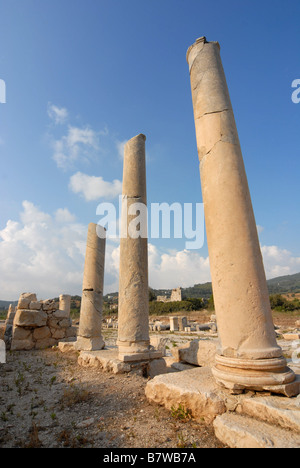 Le long de l'avenue principale de colonnes à Patara, une ancienne ville Lycienne, au sud-ouest de la Turquie moderne. Banque D'Images