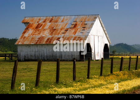 Grange et fleurs sauvages dans la région de Bear Valley, comté de Californie, au printemps. Banque D'Images