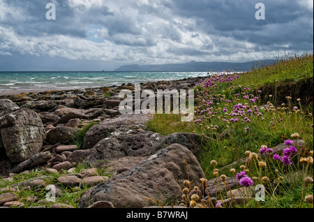 Rocky Bay avec vue sur la mer, surf et thrift fleurs, et ciel d'orage à l'égard de la péninsule de Raasay Fléron, nord-ouest de l'Ecosse Banque D'Images