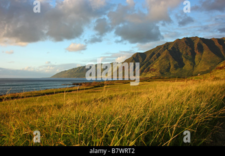 La Baie de Yokohama (Keawaula) Plage, à la fin de la route sur Oahu, côté ouest. New York USA Banque D'Images