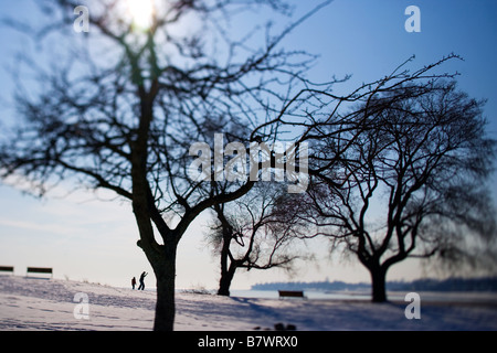 Arbres dans un parc avec un père et son fils, en sautant des rochers de West Haven CT USA au cours de l'hiver avec de la neige Banque D'Images