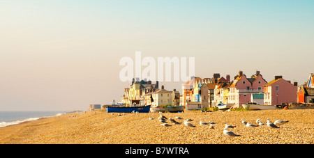 Aldeburgh, Suffolk - station balnéaire victorienne photographié à partir de la plage de galets, galets de plage avec en premier plan et les mouettes Banque D'Images