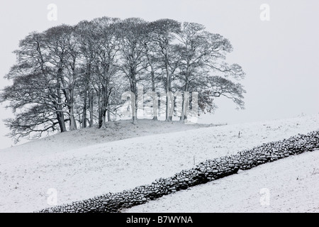 Yorkshire colline couverte de neige Banque D'Images