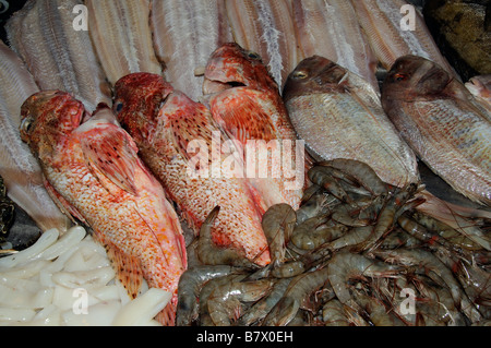 Des fruits de mer vu dans une armoire froide d'un restaurant espagnol capturé dans l'océan Atlantique au large de l'île de Tenerife Banque D'Images