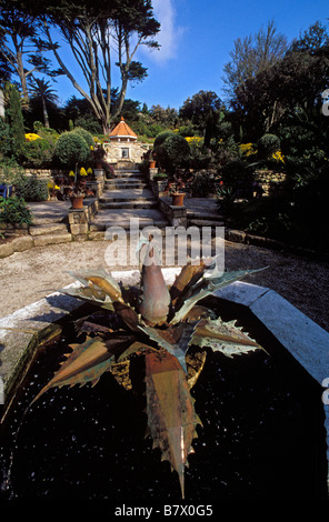 Jardin de l'abbaye fondée par Augustus Smith en 1834 tresco penzance cornwall england uk Banque D'Images