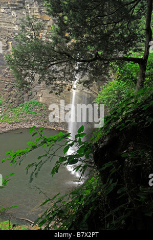 Indian creek formant cascade connue sous le nom de chutes 76 clinton county illinois tomber dans le lac Cumberland Banque D'Images