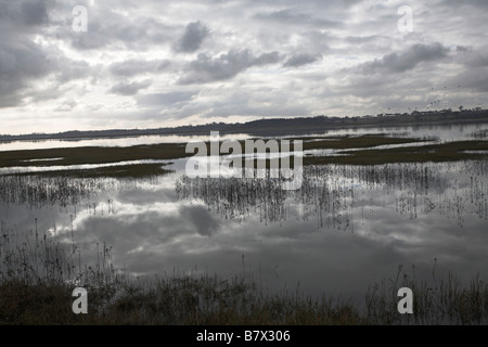 Des motifs lumineux et sombres nuages formés par l'eau et de roseaux sur journée d'hiver River Deben près de Shottisham Suffolk Angleterre Banque D'Images