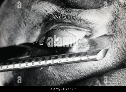 Un chien andalou" Un chien andalou Année : 1929 - France Directeur : Luis Bunuel Banque D'Images