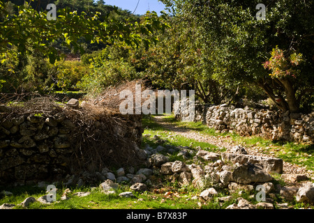 Un sentier rocheux dans la campagne turque à Sidyma ( Dodurga village) Turquie Banque D'Images