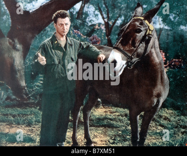 Francis rejoint le WAC Année : 1954 USA Donald O'Connor Directeur : Arthur Lubin Banque D'Images