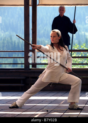 Elektra Année : 2005 USA Jennifer Garner, Terence Stamp Réalisateur : Rob Bowman Banque D'Images