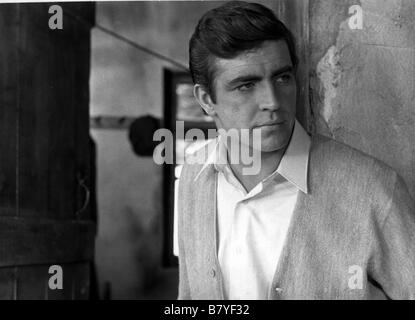 Alexis Zorbas Zorba le Grec / Année : 1964 USA Alan Bates Réalisateur : Michael Cacoyannis Banque D'Images