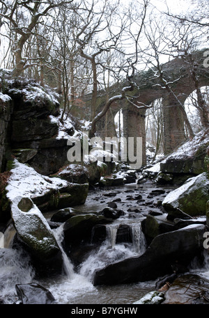 Un ruisseau traverse la réserve naturelle Dell Healey, Whitworth, Rossendale, UK Banque D'Images