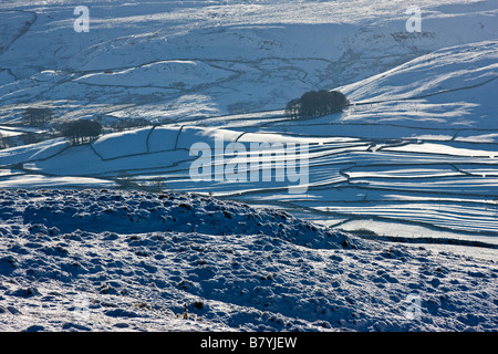 Colline couverte de neige, la région de Wharfedale, Yorkshire UK Banque D'Images