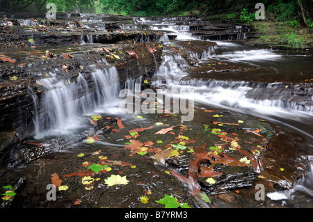 Indian creek rapides en amont des chutes 76 clinton county kentucky lake cumberland affluent dans l'alimentation de la rivière Cascade Banque D'Images