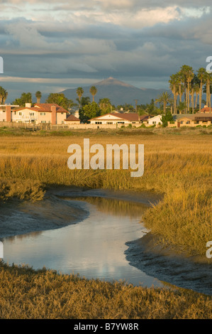 Maisons au bord de l'estuaire de la rivière Tijuana, frontière américano-mexicaine, San Diego, Californie Banque D'Images