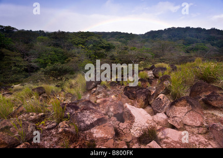 Vapeur s'élève à partir d'un champ de fumerolles volcaniques avec un arc-en-ciel dans le Rincón de la Vieja Volcano National Park à Guanacaste, Costa Rica. Banque D'Images