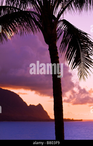 Palmier et la Côte de Na Pali au coucher du soleil île de Kauai Hawaii Banque D'Images