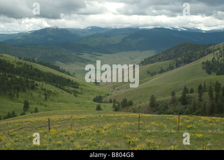 Belle vue sur les collines de Bison Range, Montana (États-Unis) Banque D'Images