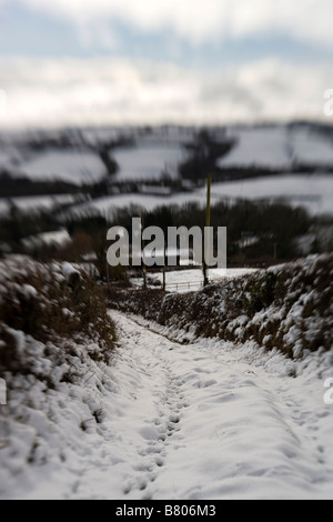 Paysage agricole couvert de neige près d'Exeter dans le Devon. L'Angleterre Banque D'Images