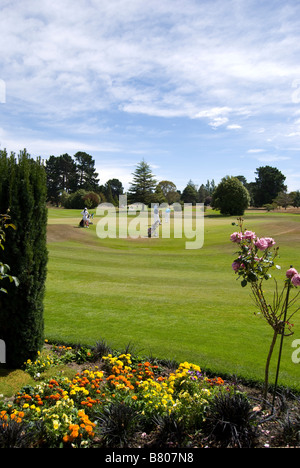 18ème green, Russley Golf Club, Avenue Memorial, Russley, Christchurch, Canterbury, Nouvelle-Zélande Banque D'Images