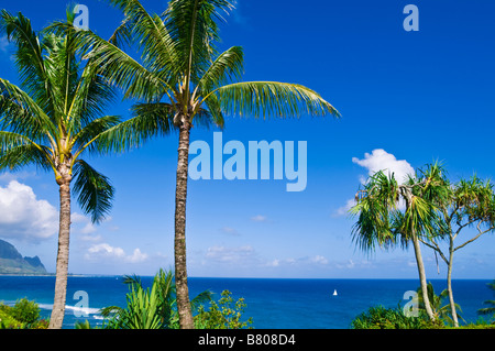 Le cocotier au-dessus de la baie de Hanalei et la Côte de Na Pali île de Kauai Hawaii Banque D'Images