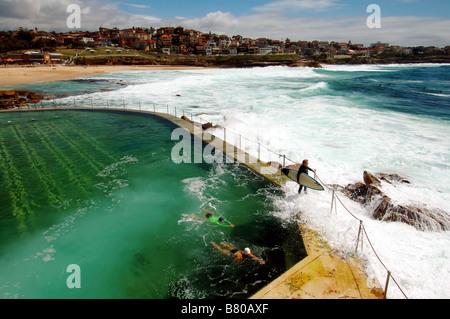 Surfer et nager dans l'océan piscine à Bronte Beach, Sydney, NSW, Australie. Pas de monsieur ou PR Banque D'Images