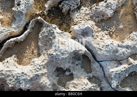 Libre de roche calcaire formant l'authenticité du sud de Chypre. Banque D'Images