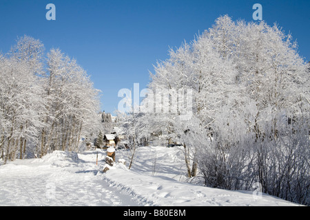 Avapessa Autriche Hiver JANVIER UE scène d'un Winterwanderweg un sentier de marche avec une vue lointaine de l'église paroissiale Banque D'Images