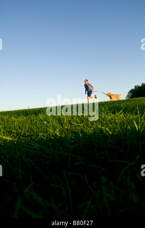 L'âge moyen homme qui court dans l'été sur un terrain herbeux avec un Golden Retriever dog. Banque D'Images