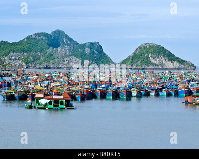 Flotte de bateaux de pêche amarrés dans le port de Cat Ba island Baie de Halong Vietnam JPH071 Banque D'Images