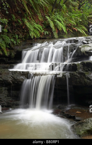 Leura Cascades Blue Mountains Australie Nouvelle Galles du Sud Banque D'Images