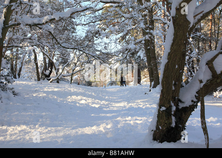 Homme et une femme dans la neige dans walkin Esher Surrey Angleterre commun Banque D'Images