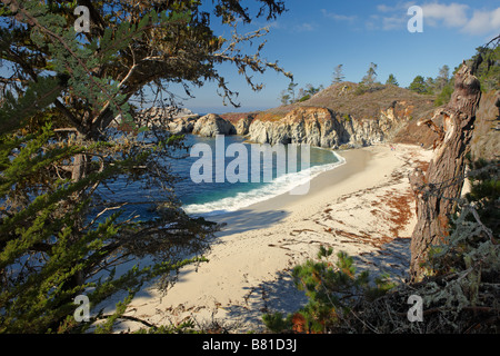 Plage de Gibson. Point Lobos State Reserve, Californie, USA. Banque D'Images