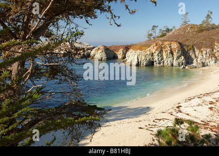 Plage de Gibson. Point Lobos State Reserve, Californie, USA. Banque D'Images