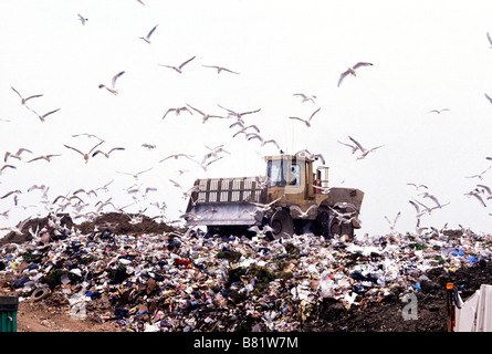 Mouettes entourent un bulldozer jaune comme elle se déplace sur un site d'enfouissement des déchets au Royaume-Uni Banque D'Images