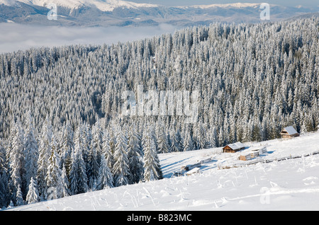 Calme d'hiver paysage de montagne avec de la neige couverts tiges sur scène et cabanes groupe derrière la station de ski de Bukovel Ukr Banque D'Images