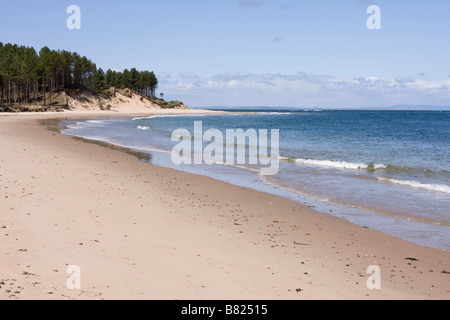 La Baie de Findhorn Sands Culbin, Moray près d'Inverness, au nord-est des Highlands d'Écosse, Grande-Bretagne Banque D'Images