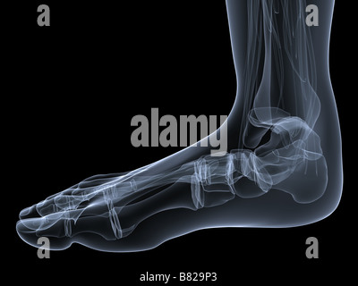 Rendu 3d x-ray illustration d'un squelette humain Banque D'Images