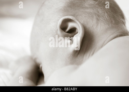 Close up de la tête de bébé et de l'oreille Banque D'Images