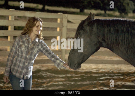 Flicka Flicka Année : 2006 USA /UK Alison Lohman Réalisateur : Michael Mayer Banque D'Images