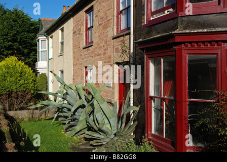 Un grand cactus agave dans un jardin à porthtowan,cornwall,uk Banque D'Images