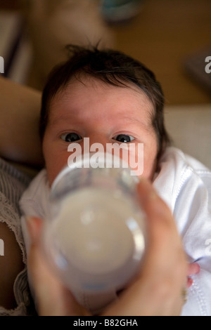 Naissance bebe Fille alimentation à partir de bouteille de lait . Banque D'Images