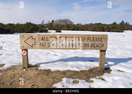 Chiens non admis sur Beach Sign Frensham Great Pond Surrey UK Banque D'Images