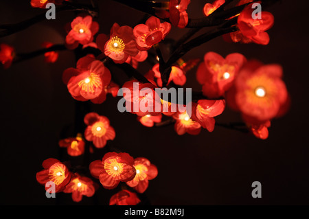 Cherry Blossom fairy lights Banque D'Images